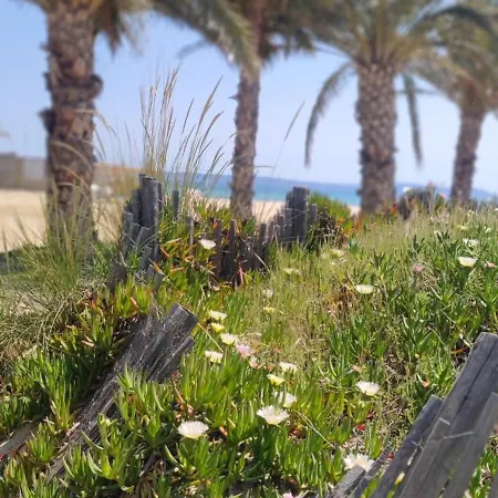 Le Cap Situé A 300 M La Faviere Les Mimosas *