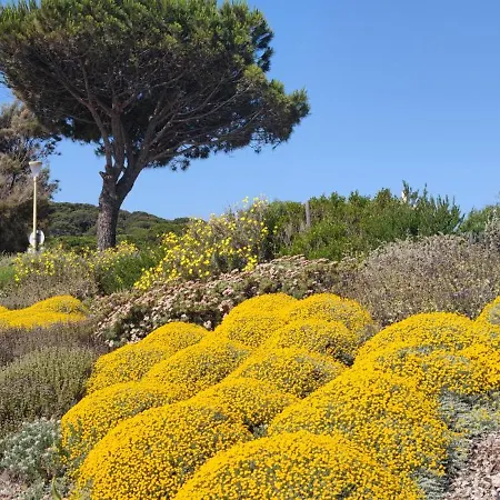 Le Cap Situé A 300 M La Faviere Les Mimosas Apartamento *
